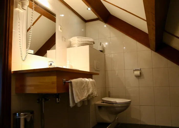 Отель Restaurant De Roosterhoeve 4*