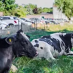 Restaurant De Roosterhoeve